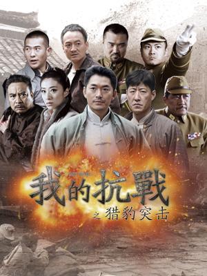 我的抗战之猎豹突击电视剧全40集