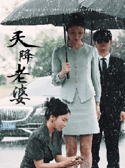 天降老婆短剧全80集
