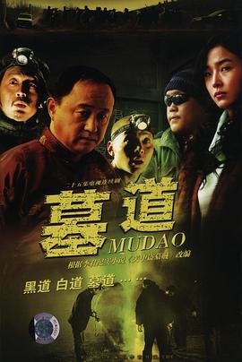 墓道电视剧全25集