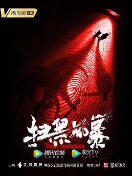 扫黑风暴电视剧全28集