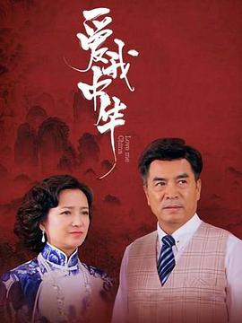 爱我中华电视剧全35集