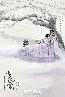 七夜雪电视剧全32集