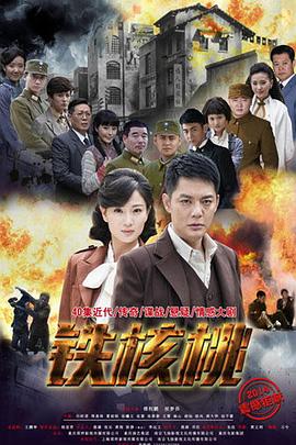 铁核桃电视剧全41集