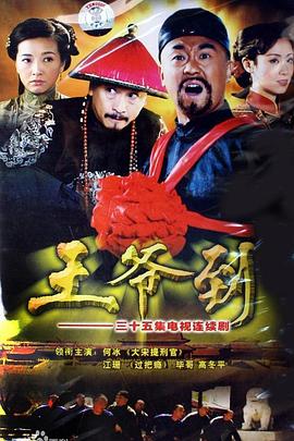 王爷到电视剧全35集