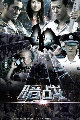 暗战2013电视剧全30集