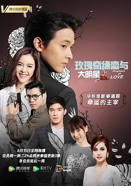 玫瑰奇缘恋与大明星电视剧全39集