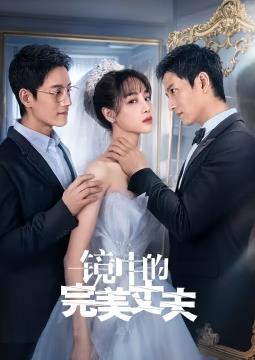 镜中的完美丈夫电视剧全25集