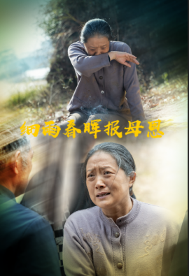 细雨春晖报母恩短剧全30集