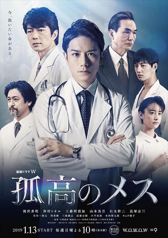 孤高的手术刀电视剧全8集